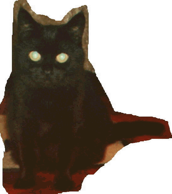 Click to come home with me
